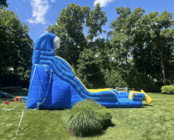 Screenshot202026 02 2720at201.04.30PM 1772215566 Wipe Out Slide 19ft