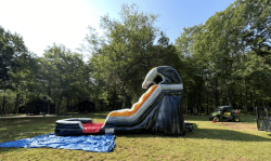 Screenshot202026 02 2720at2012.15.50PM 1772212676 1 Flames Waterslide 15ft