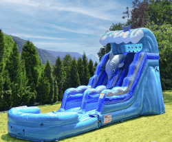 Dolphin Waterslide 15ft