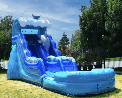 Screenshot202026 02 2720at2012.19.49PM 1772213002 Dolphin Waterslide 15ft