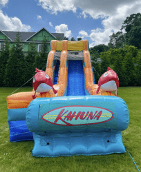 Big Kahuna Slide 18ft